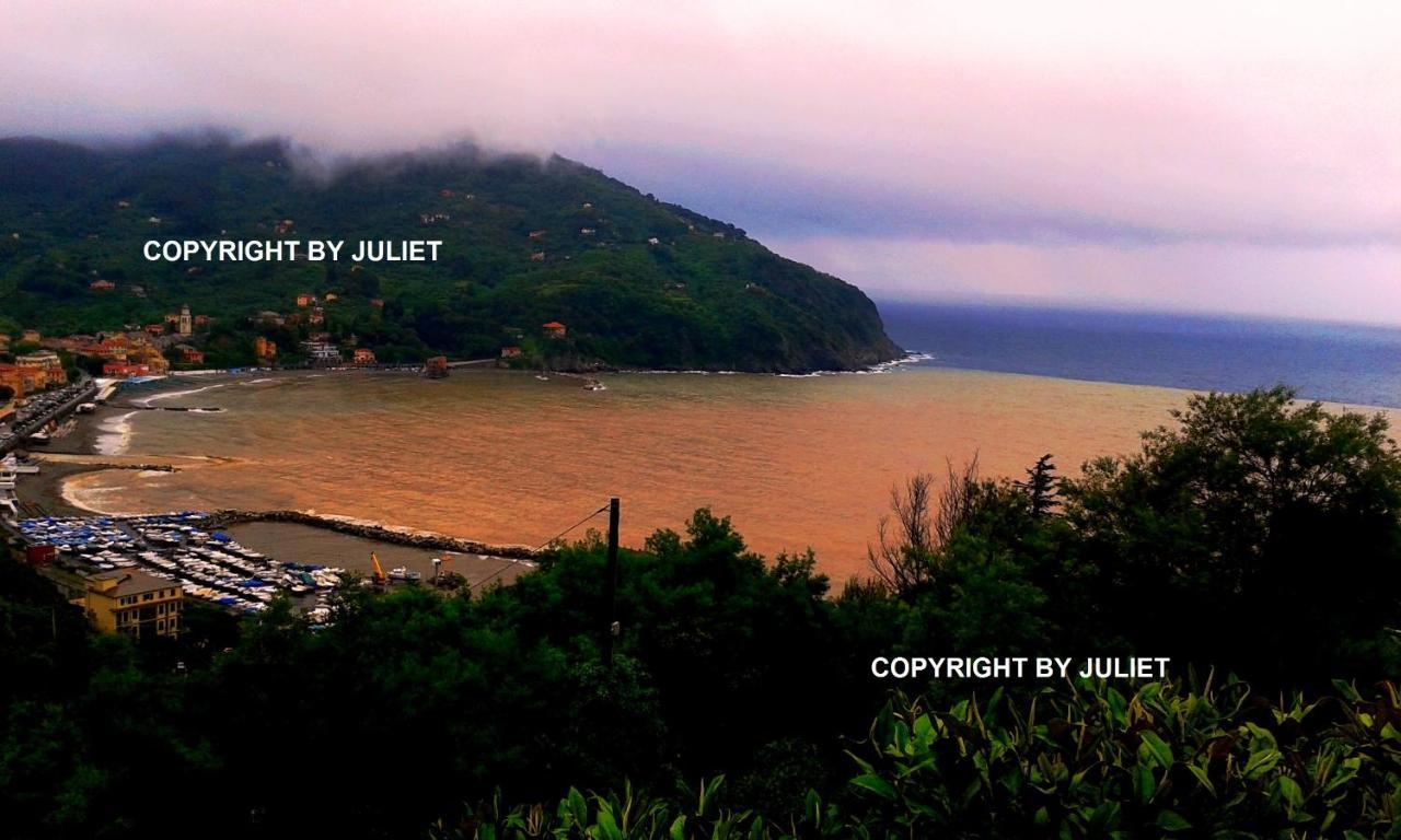 Juliet - Apartment In Liguria 5 Terre Unesco Site Levanto Ngoại thất bức ảnh